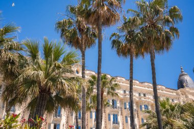 Fransa 'nın Cannes kentindeki Carlton Oteli' nde Belle Epoque mimarisi, kubbeli kuleler ve parlak mavi gökyüzünün altında palmiye ağaçları yer almaktadır..