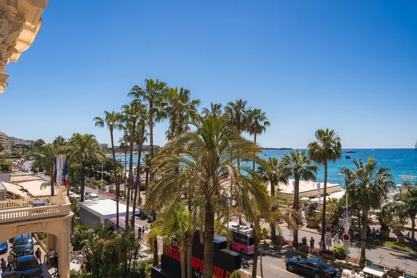 Cannes, Fransa 'daki Akdeniz manzarası, palmiye ağaçları çerçeveli. Carlton Oteli kısmen görülebilir, aşağıda canlı bir cadde ve yukarıda açık gökyüzü var..