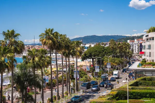 Fransa 'nın Cannes şehrinde palmiye ağaçları, beyaz binalar, arabalar, yayalar, bir marina ve açık mavi gökyüzünün altındaki kıyı şeridini gösteren hareketli bir cadde..