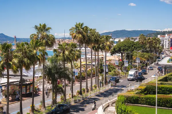 Fransa 'nın Cannes şehrinde palmiye ağaçları, araçlar ve yayalarla dolu hareketli bir cadde. Kıyı şeridi, marina, tekne, yeşillik ve tepeler görülebilir durumda..