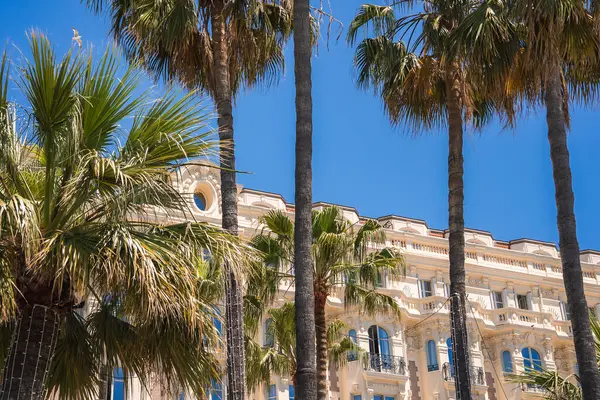Fransa 'nın Cannes kentindeki Carlton Oteli' nin ikonik beyaz cephesi, zarif mimarisini sergileyen açık mavi gökyüzünün altındaki yüksek palmiye ağaçları tarafından çerçevelenmiştir..