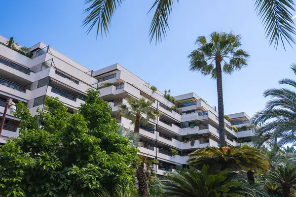 Cannes, Fransa 'da palmiye ağaçları ve yeşilliklerle çevrili modern bir konut ya da otel binası. Bitkilerle dolu balkonlar ve açık mavi gökyüzü sahneyi tamamlıyor..