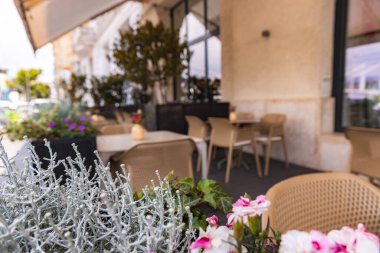 Bej sandalyeli, masalı ve canlı saksıları olan veranda. Tarafsız tonlu taş duvar, büyük pencereler ve tente modern ve sakin bir ortam oluşturur..