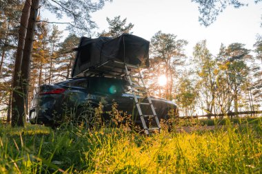 Çatı çadırı ve merdiveni olan modern bir SUV ormanda park halinde. Güneş ışığı uzun ağaçların arasından süzülür, çimenli ön planı aydınlatır..