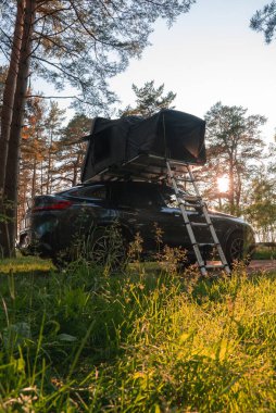 Çatı çadırı ve metal merdiveni olan modern bir SUV bir ormana park edilmiştir. Güneş ışığı uzun çam ağaçlarının arasından süzülür, çimenli ön planda belirginleşir.