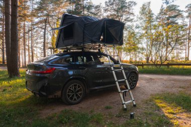 Orman açıklığında katlanabilir çatı çadırı olan modern bir SUV. Yere uzanan bir merdiven, uzun ağaçlar ve güneş ışığıyla çevrili..