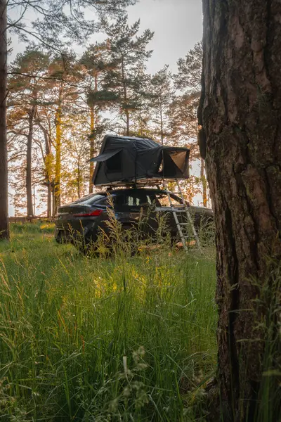 Katlanabilir çatı çadırı olan modern bir SUV bir orman açıklığında park halinde. Uzun otlar, çam ağaçları ve güneş ışığının içinden süzülmesi huzur verici bir sahne yaratır..