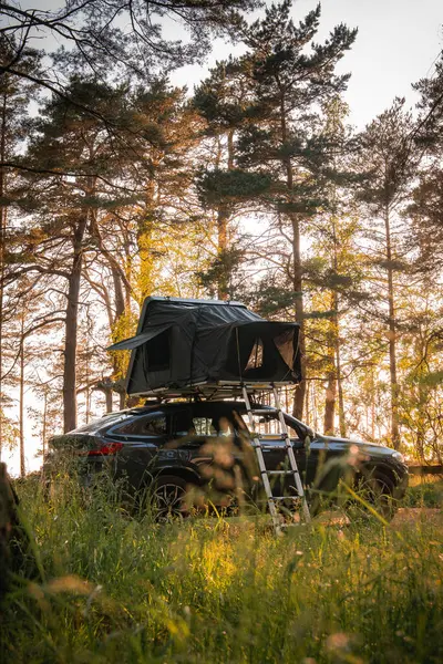 Katlanabilir çatı çadırı ve merdiveni olan modern bir SUV bir orman açıklığında park halinde. Uzun çam ağaçları ve altın güneş ışığı sakin bir açık hava manzarası yaratır..