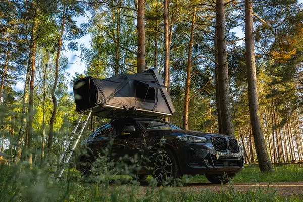 Çatı çadırı ve merdiveni olan modern bir SUV ormanda park halinde. Aracın etrafını saran uzun çam ağaçları, gölgelikten süzülen güneş ışığı....