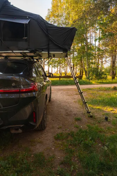 Çatı ve merdiveni açık bir çadır ve merdiveni olan modern bir SUV bir orman açıklığında duruyor. Uzun ağaçlar, yeşil yapraklar ve güneş ışığı sakin bir açık hava manzarası yaratır..