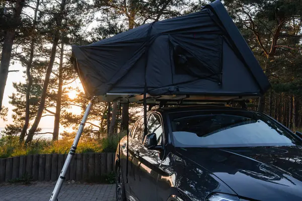 Katlanabilir çatı çadırı ve teleskopik merdiveni olan modern bir SUV ormandaki asfalt bir yüzeye park edilmiştir. Uzun ağaçlar ve güneş ışığı huzurlu bir ortam yaratır..