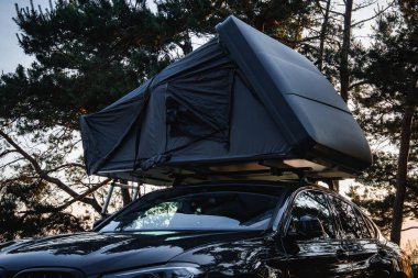 Ormanda koyu renkli bir çadırı olan modern bir SUV. Aracın etrafını saran uzun ağaçlar, yumuşak ışığın dalların arasından süzülmesi gibi..