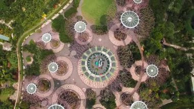Singapur 'daki Supertree Grove' un havadan görünüşü yavaş yukarı ya da dönme hareketiyle, yükselen dikey bahçeler ve yemyeşil alanlar sergiliyor..