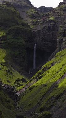 Dik yosunlarla kaplı, yemyeşil bir kanyonun havadan görünüşü ve İzlanda 'da kayalık bir havzaya dökülen yüksek bir şelale..