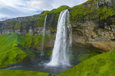 İzlanda 'da Seljalandsfoss şelalesi yüksek yosun kaplı bir uçurumdan akar. Üsse yakın bir yürüyüş yolu ve sisli sprey huzur dolu gün ışığı sahnesine eklenir..