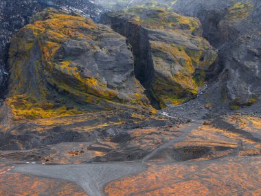 Sarı ve yeşil yosunlu dik volkanik kayalıklar, siyah toprak ve kırmızımsı bitki örtüsü. İzlanda 'nın dramatik manzarasında toprak bir yol esiyor..
