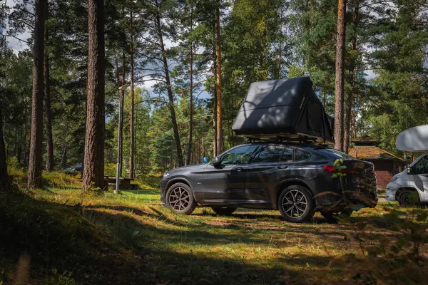 Orman kamp alanında çatısı olan bir BMW X4 2025. Alanı çevreleyen uzun çam ağaçları, dallardan süzülen güneş ışığı....