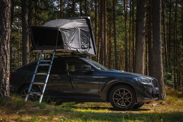 Çam ormanına park etmiş koyu renkli bir BMW X4 2025. Çatı çadırı ve merdiveni var. Güneş ışığı ağaçların arasından süzülür, yere gölge düşürür..
