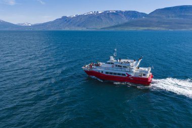 İzlanda 'da açık mavi gökyüzünün altında, kar kaplı dağlar ve yeşil tepelerle çevrili, kırmızı ve beyaz bir tur teknesi, sakin mavi sularda yol alır..