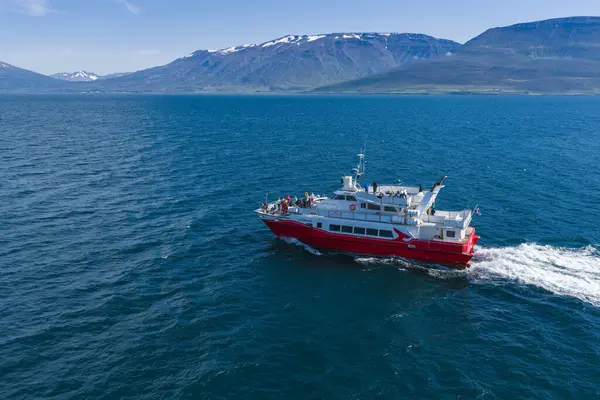 İzlanda 'da açık mavi gökyüzünün altında, kar kaplı dağlar ve yeşil tepelerle çevrili, kırmızı ve beyaz bir tur teknesi, sakin mavi sularda yol alır..