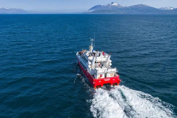 Kırmızı ve beyaz bir feribot derin mavi sularda yol alır ve arkasında beyaz köpük izi bırakır. Karla kaplı dağlar ve berrak bir gökyüzü Sakin deniz manzarası.