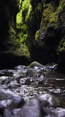 İzlanda 'da dingin bir kanyon, sarp duvarlarda canlı yeşil yosunlar ve pürüzsüz taşların üzerinde yavaşça akan sığ bir dere..