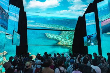 İnsanlar, deniz altı canlılarının yanı sıra mercan resiflerinin ve okyanusların havadan görüntülerini gösteren büyük ekranlarla modern bir sergi alanında toplanıyorlar..