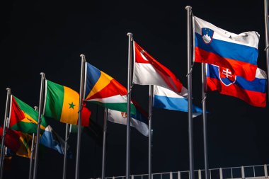 Slovenya ve Singapur 'un da aralarında yer aldığı parlak ulusal bayraklar, Osaka 2025 Dünya Fuarı' ndaki karanlık bir gece gökyüzüne karşı uzun bayrak direkleri üzerinde sergilendi..