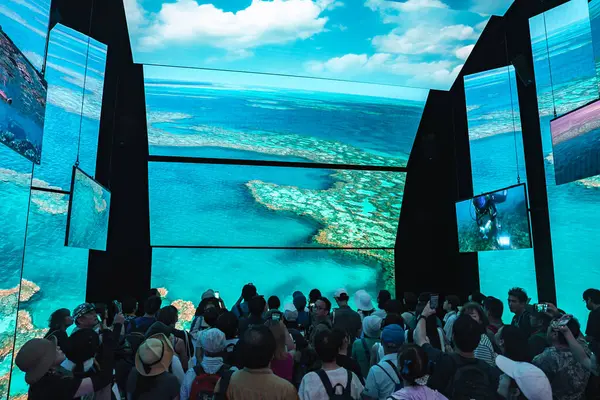 İnsanlar, deniz altı canlılarının yanı sıra mercan resiflerinin ve okyanusların havadan görüntülerini gösteren büyük ekranlarla modern bir sergi alanında toplanıyorlar..
