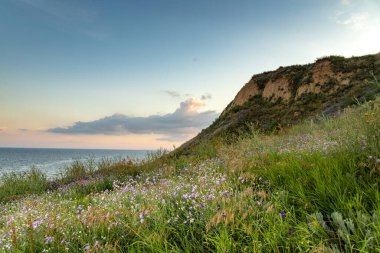 Renkli kır çiçekleri Karadeniz kıyısının çimenli yamacını örterek pitoresk bir manzara yaratıyor. Güneş arka planda batıyor, sakin suların ve etrafındaki tepelerin üzerine ılık bir parıltı saçıyor..