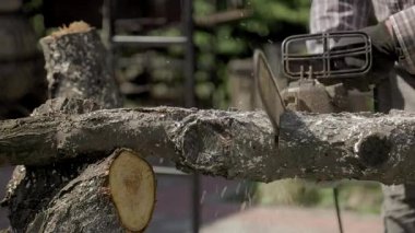 Yetenekli bir zanaatkar, sağlam bir kütüğü, doğanın sakin güzelliğiyle çevrili çarpıcı bir heykele dönüştürür. Elektrikli testere sanatçının yaratıcı sürecini ortaya çıkarırken kıvılcımlar uçuşuyor..