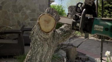 Yetenekli bir birey, güzel bir bahçede devrilmiş bir ağaç dalını budamak ve şekillendirmek için elektrikli testere kullanıyor. Parlak güneş ışığı, iş ilerledikçe sakin atmosferi güçlendirir..