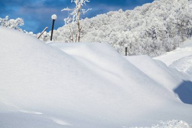 Karla kaplı ağaçlarla kaplı kış manzarası