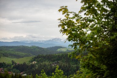 Ufuk boyunca uzanan dağlarda, yemyeşil manzaralar ve kar zirveleri görülür. Gri gökyüzünün altında doğa yeşillik ve sükunetle gelişir..