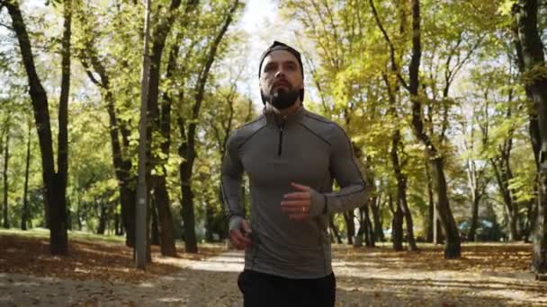 一个体形好的年轻人在秋季公园跑步时正在做有氧运动训练 — 图库视频影像