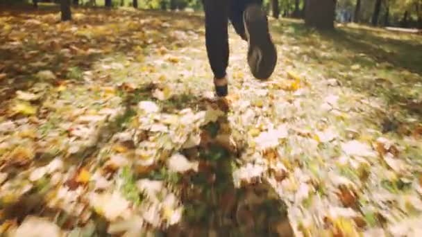 一位运动员正在一个黄叶飘落的公园里跑步 新鲜空气中的心肺训练 — 图库视频影像