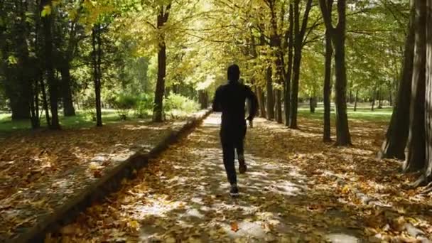 Hombre Corre Por Sendero Una Parka Cubierta Hojas Amarillas Otoño — Vídeos de Stock