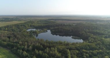 Güzel manzara. Ormanın ortasındaki göl. Yaz tatili için bir yer