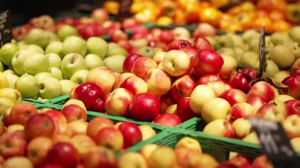 Saftiga Äpplen Olika Sorter Säljs Behållare Skyltfönstret — Stockvideo