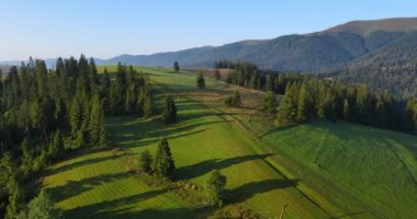 İzler dağlara doğru gidiyor. Karpatlar. Yüksek kalite 4k görüntü