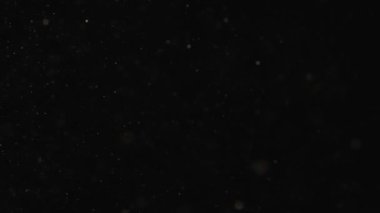 Siyah arkaplanda kar yağışını temsil eden beyaz parçacıkların canlandırılması. Video sunumunuza donmuş ya da kış etkisi eklemek için görüntülerin üzerine kar konuyor.