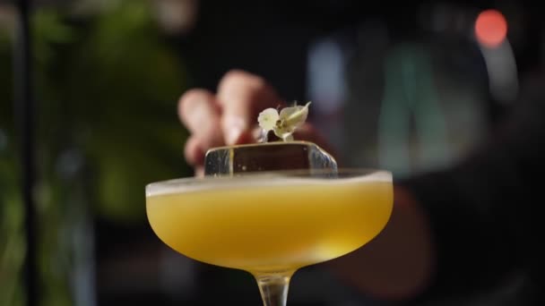 Köstliche Cocktails Vom Barkeeper Zubereitet — Stockvideo