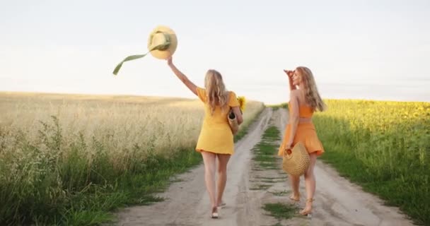 Kızlar Çiçek Buketleriyle Bir Tarla Yolunda Yürür — Stok video
