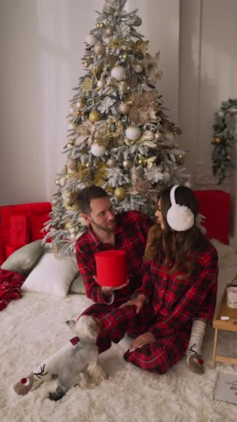 Чоловік Дарує Своїй Дівчині Подарункову Коробку Різдво Сидячи Біля Прикрашеної — стокове відео