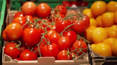 Sonbaharda mevsimlik sebze pazarında bir kutuda olgun kırmızı ve portakal domatesleri