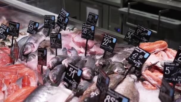 Mořské Plody Ryby Sortiment Čerstvých Syrových Ryb Regálech Skladovaných Ledu — Stock video