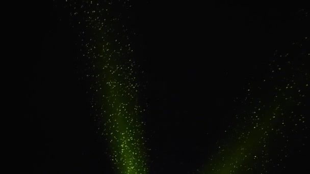 Partículas Verdes Neón Luz Luces Fondo Color Con Explosión Partículas — Vídeo de stock