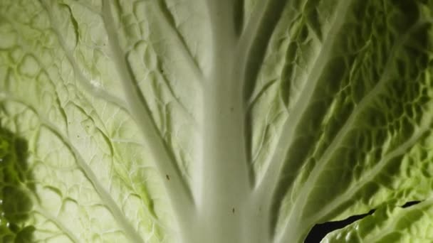 Verse Groene Salade Bladeren Een Zwarte Achtergrond Gezonde Goede Oogst — Stockvideo