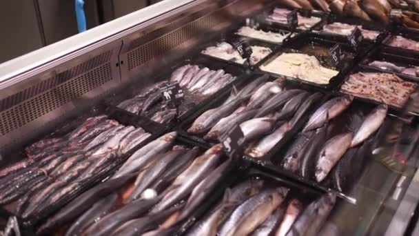 Ψάρια Φρέσκα Θαλασσινά Στον Πάγο Στο Σούπερ Μάρκετ Φρέσκα Ψάρια — Αρχείο Βίντεο