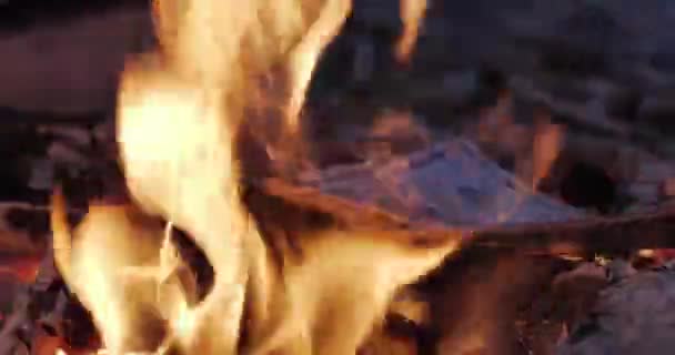 Деньги Сгорают Огне Высококачественные Кадры — стоковое видео
